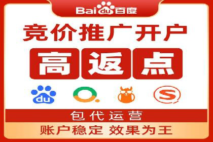 案例分析：SEM广告助力电商行业突破